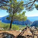 Seaview Filip - * Omiš